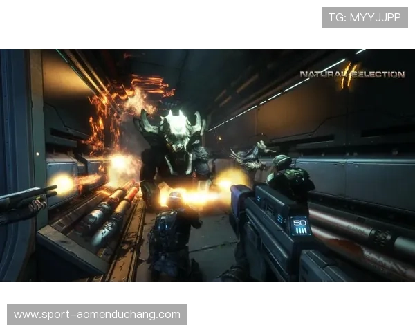 如何选择优质的DB真人娱乐平台保障您的游戏体验